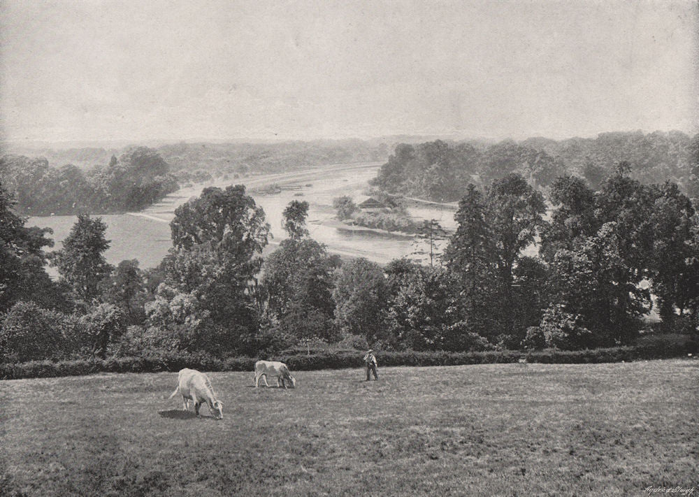 SURREY. From Richmond Hill.  1900 old antique vintage print picture